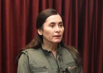 Hêlîn Ümit: Entegrasyon Kürt sorununun demokratik çözümü için zorunluluktur