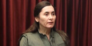 Hêlîn Ümit: Entegrasyon Kürt sorununun demokratik çözümü için zorunluluktur