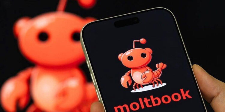 Yapay zekalar kendi aralarında konuşmaya başladı: Moltbook nedir?