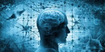 Bilim dünyasını şaşırtan bulgu: Beynimiz geleceği görebiliyor