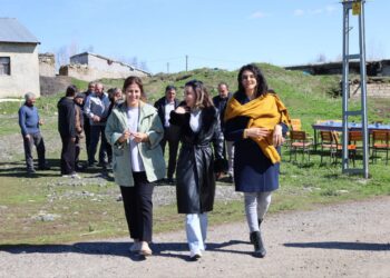  ‘Sarı-kırmızı-yeşil’ renklerle halay çeken DEM Parti Meclis Üyesi ve annesine tutuklama