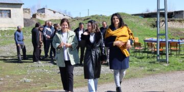  ‘Sarı-kırmızı-yeşil’ renklerle halay çeken DEM Parti Meclis Üyesi ve annesine tutuklama