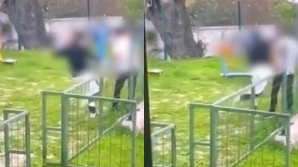 Bodrum'da Parkta Akran Zorbalığı! Darp Ederek Bayılttı