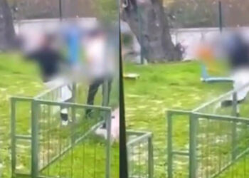 Bodrum'da Parkta Akran Zorbalığı! Darp Ederek Bayılttı