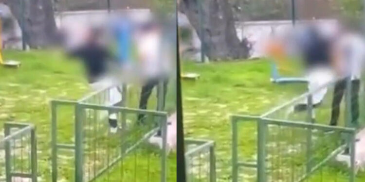 Bodrum'da Parkta Akran Zorbalığı! Darp Ederek Bayılttı