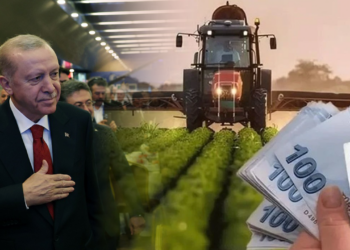 Cumhurbaşkanı Erdoğan Duyurdu: Çiftçilere Yeni Destek