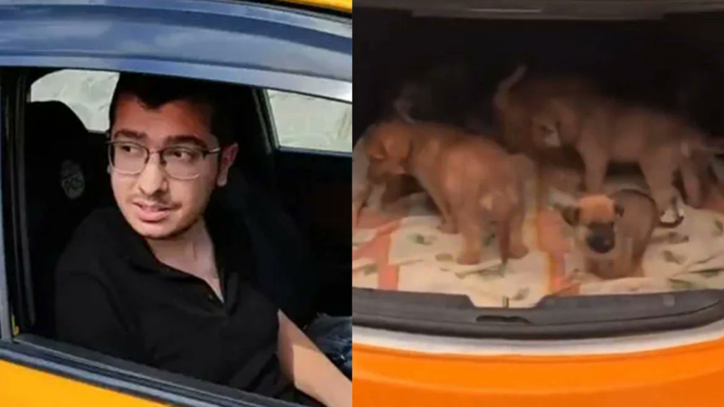 Hayvan Katili Doktora Ödül Gibi Ceza