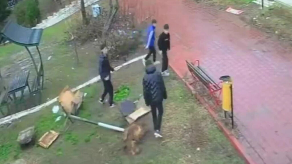 Kuş Yuvasına Zarar Veren 4 Çocuğa Ev Hapsi