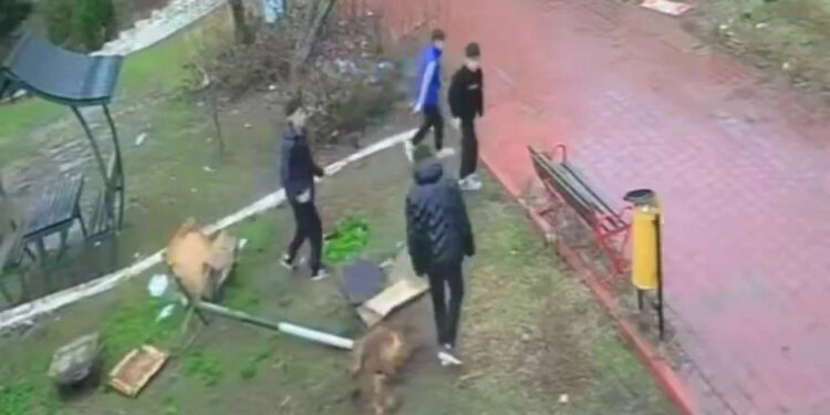 Kuş Yuvasına Zarar Veren 4 Çocuğa Ev Hapsi