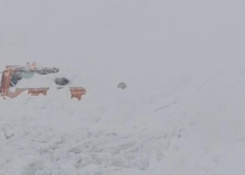 Muş’ta Dakikalarla Yarış... Operatör Çığ Altında Kaldı