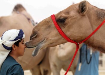 Suudi Arabistan develere kimlik verecek