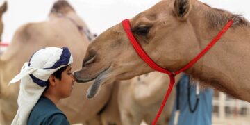 Suudi Arabistan develere kimlik verecek