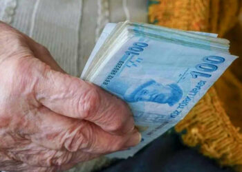 Yaşlılık Sigortası Geliyor: Devlet Destekli Yeni Model Yolda! İşte Detaylar…