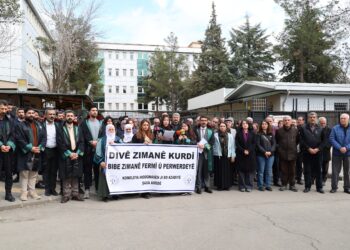 ÖHD’den birçok kentte açıklama: Kürtçe resmi ve eğitim dili olmalı