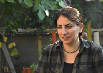 Freedom House’den gazeteci Sofya Alağaş’ın dosyası için hukuki görüş