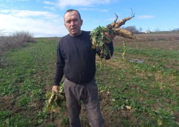 200 metrelik alanda dört mevsim üretim yapıyorlar