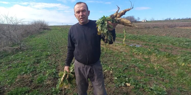 200 metrelik alanda dört mevsim üretim yapıyorlar