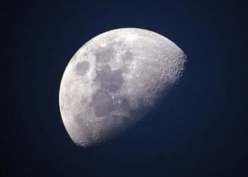 SpaceX, Ay’da “kendi kendine büyüyen şehir” kurmaya odaklanacak