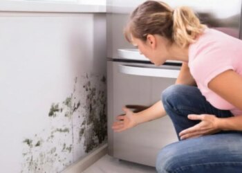 Sağlığı tehdit eden küf ve rutubet sorunu: Evinizdeki yüksek nem belirtileri ve çözüm yolları