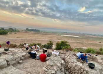 Tatarlı Höyük’e ‘Model Proje Statüsü’