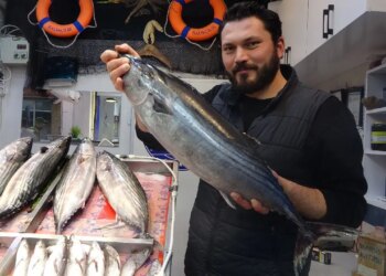 Tezgaha geç geldi ama yüzleri güldürdü: Kilosu 700 TL!