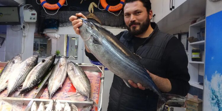 Tezgaha geç geldi ama yüzleri güldürdü: Kilosu 700 TL!