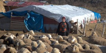 Besiciler artan maliyetler nedeniyle hayvancılık yapamayacak durumda