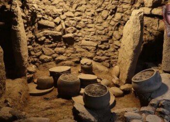 ‘Toplumun Keşfi: Göbeklitepe ve 12 Bin Yıl önce Taş Tepeler’de Yaşam’ isimli sergi Berlin’de