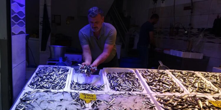 Aylardır bekleniyordu! Tezgâhlardaki tahtına yeniden oturdu: Yurttaş pazara koştu!