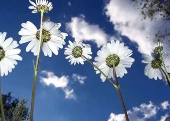 İkinci cemre ne zaman düşecek? İkinci cemre nereye düşecek?