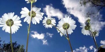 İkinci cemre ne zaman düşecek? İkinci cemre nereye düşecek?