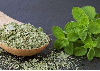 Doğal çözüm arayanların gözdesi: Aromatik yapısıyla sindirimden bağışıklığa vücudu destekleyen mucize bitki