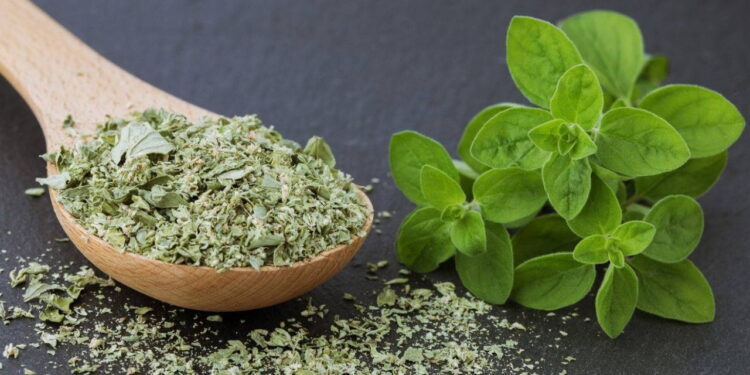 Doğal çözüm arayanların gözdesi: Aromatik yapısıyla sindirimden bağışıklığa vücudu destekleyen mucize bitki