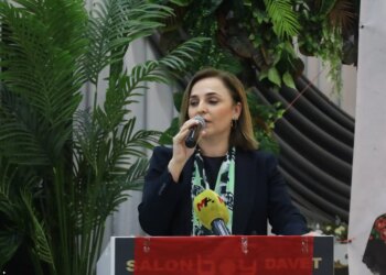 Ayşegül Doğan: Rojava için direnen Kürtlerin mesajı Ankara’da doğru okunmalı