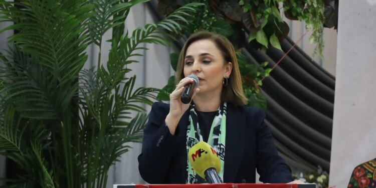  Ayşegül Doğan: Rojava için direnen Kürtlerin mesajı Ankara’da doğru okunmalı