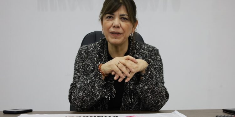 Meral Danış Beştaş: Abdullah Öcalan özgür olmalıdır