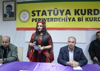  Dîlok’ta anadil paneli: Statü ve Kürtçe eğitim şart