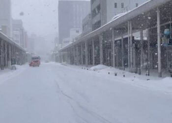 Wan ve Agirî’de okullara bir günlük kar tatili
