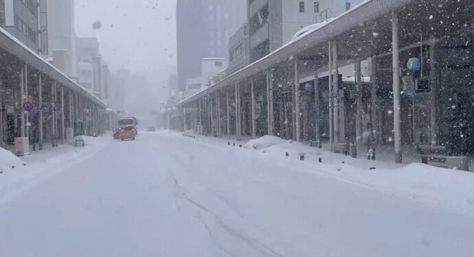 Wan ve Agirî’de okullara bir günlük kar tatili