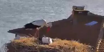 Yaren Leylek, eşi Nazlı ile de buluştu