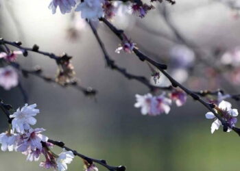 Üçüncü cemre ne zaman ve nereye düşecek? 2026 üçüncü cemre düşme tarihi