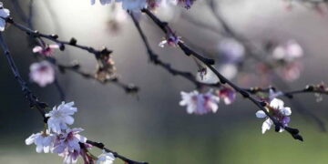 Üçüncü cemre ne zaman ve nereye düşecek? 2026 üçüncü cemre düşme tarihi