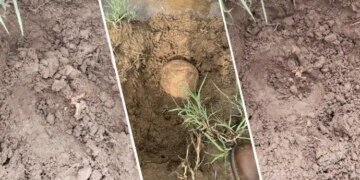 Licê’de bulunan kemiklere dair rapor: Biri çocuk iki kişiye ait