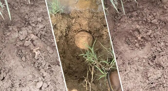 Licê’de bulunan kemiklere dair rapor: Biri çocuk iki kişiye ait