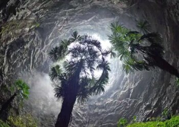 Yerin 190 metre altında saklı bir dünya: Çin’de antik ormanlarla dolu ‘Cennet Çukurları’ keşfedildi