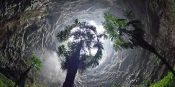 Yerin 190 metre altında saklı bir dünya: Çin’de antik ormanlarla dolu ‘Cennet Çukurları’ keşfedildi