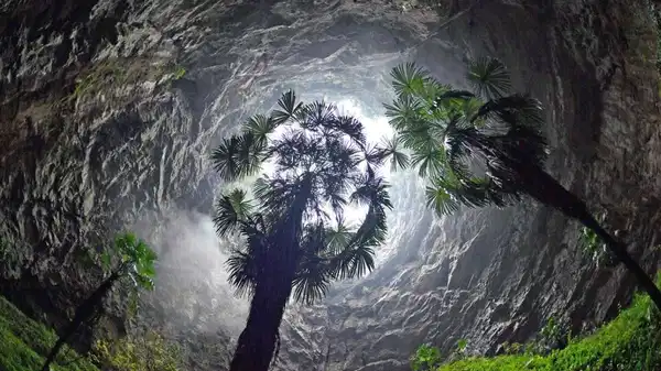 Yerin 190 metre altında saklı bir dünya: Çin’de antik ormanlarla dolu ‘Cennet Çukurları’ keşfedildi