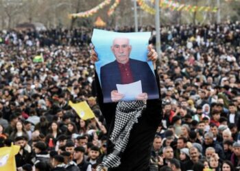 Barış Annesi Kaya: Newroz Önderliğin özgürlüğüdür