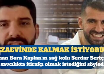 Ayhan Bora Kaplan’ın sağ kolu Serdar Sertçelik, savcılıkta itirafçı olmak istediğini söyledi