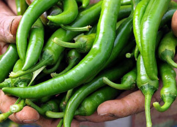 Bakanlıktan Biber Fiyatlarına Yakın Markaj: 1,8 Milyon Lira Ceza Kesildi